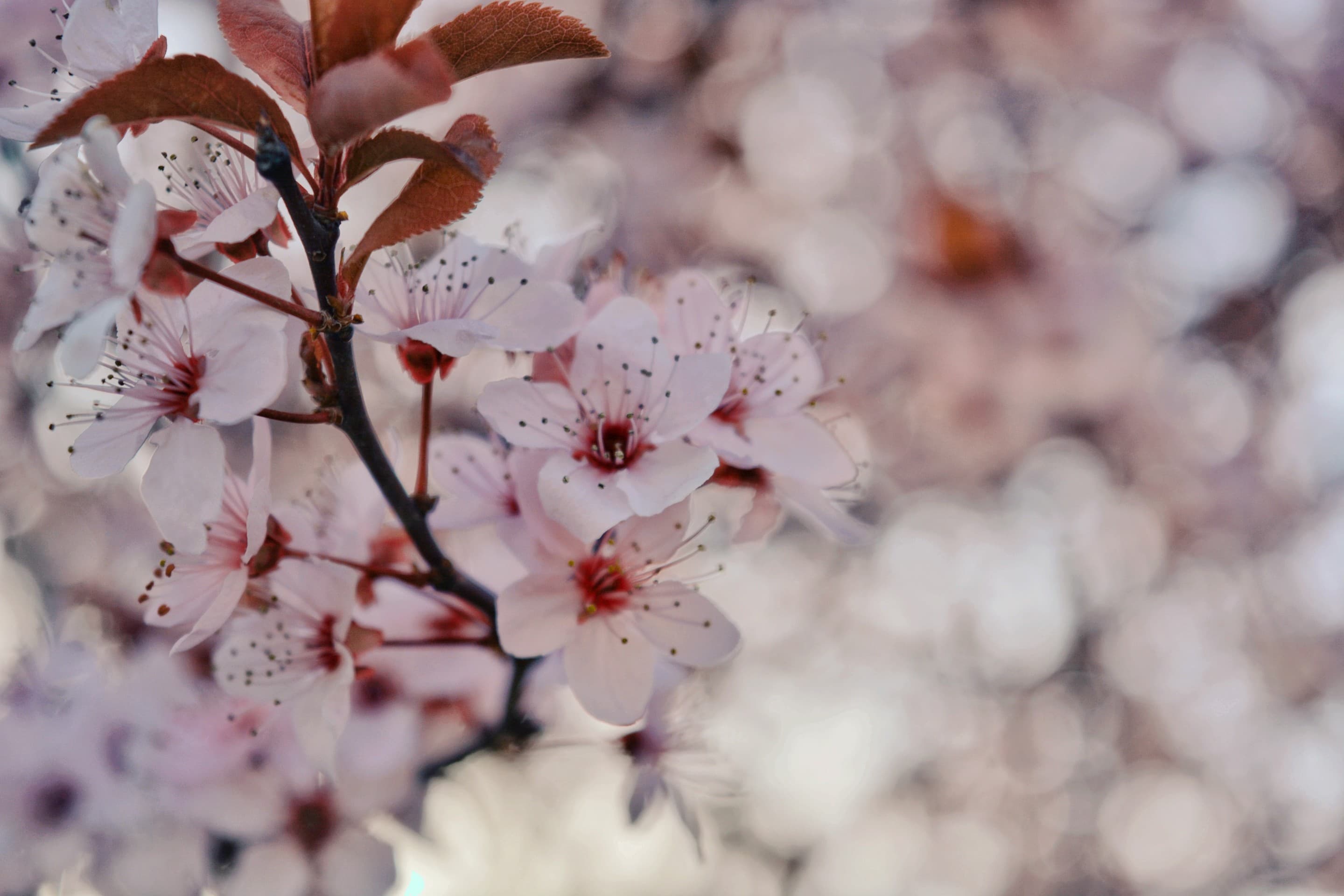 Природа