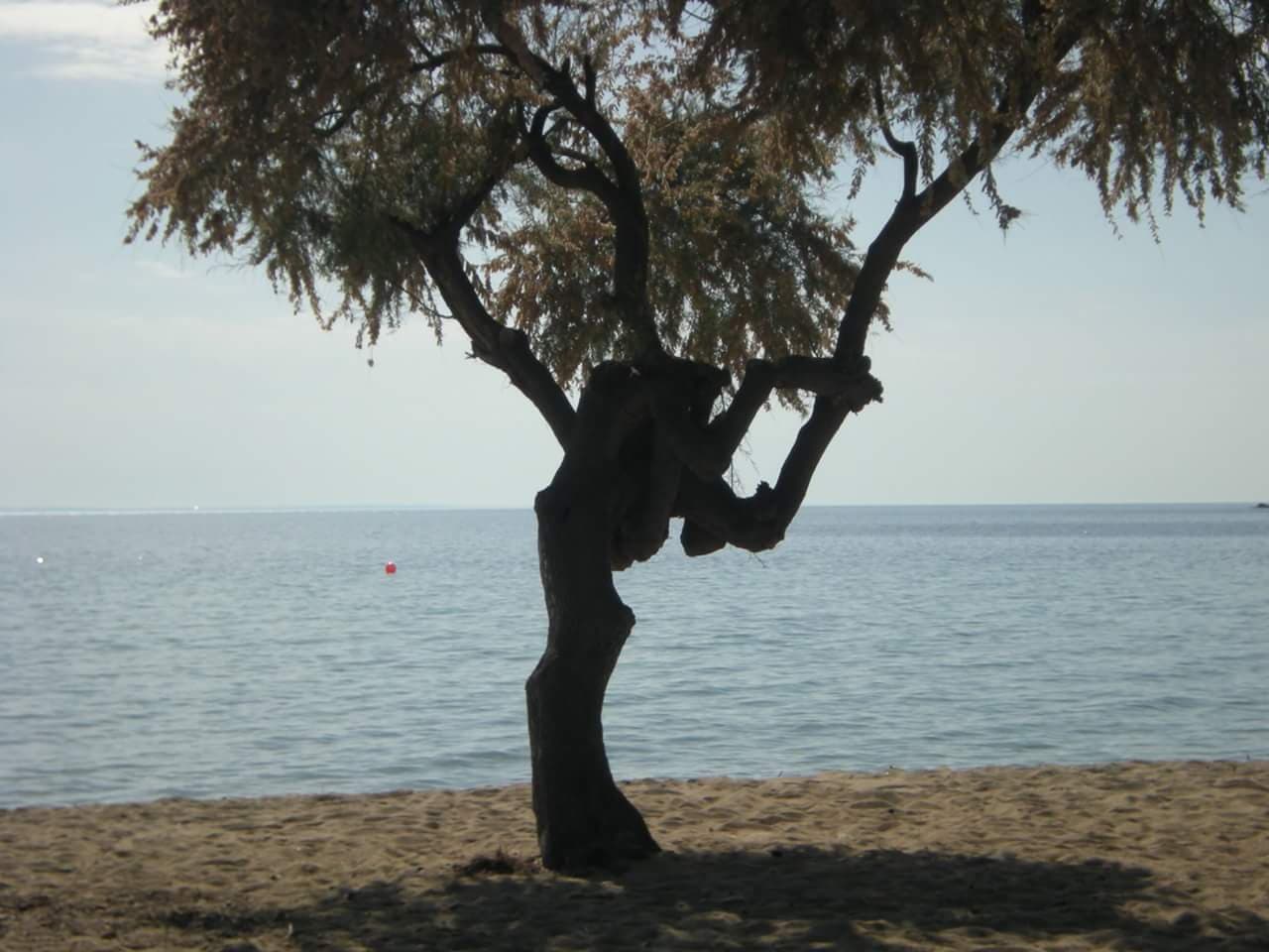 Sithonia..
