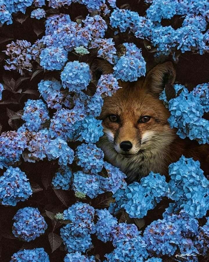 blue