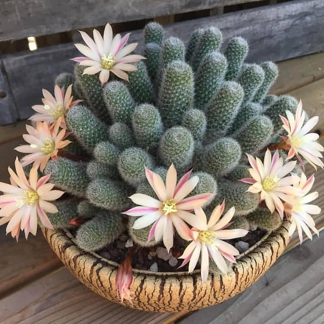 ❤