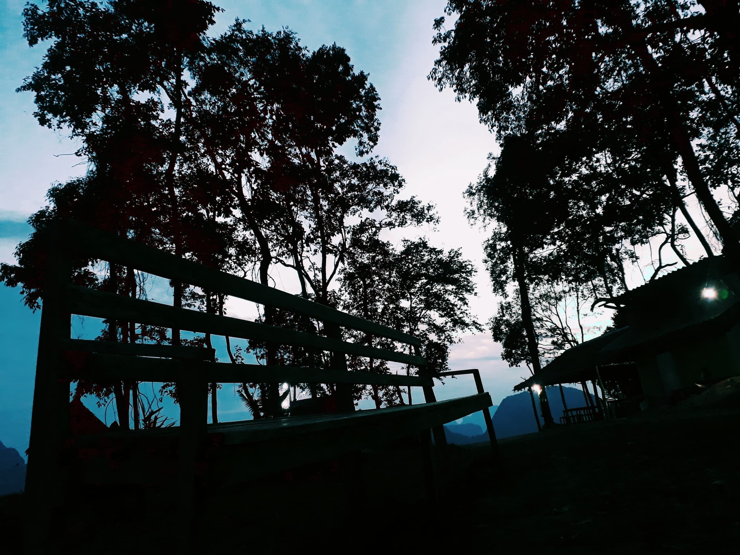 Alone