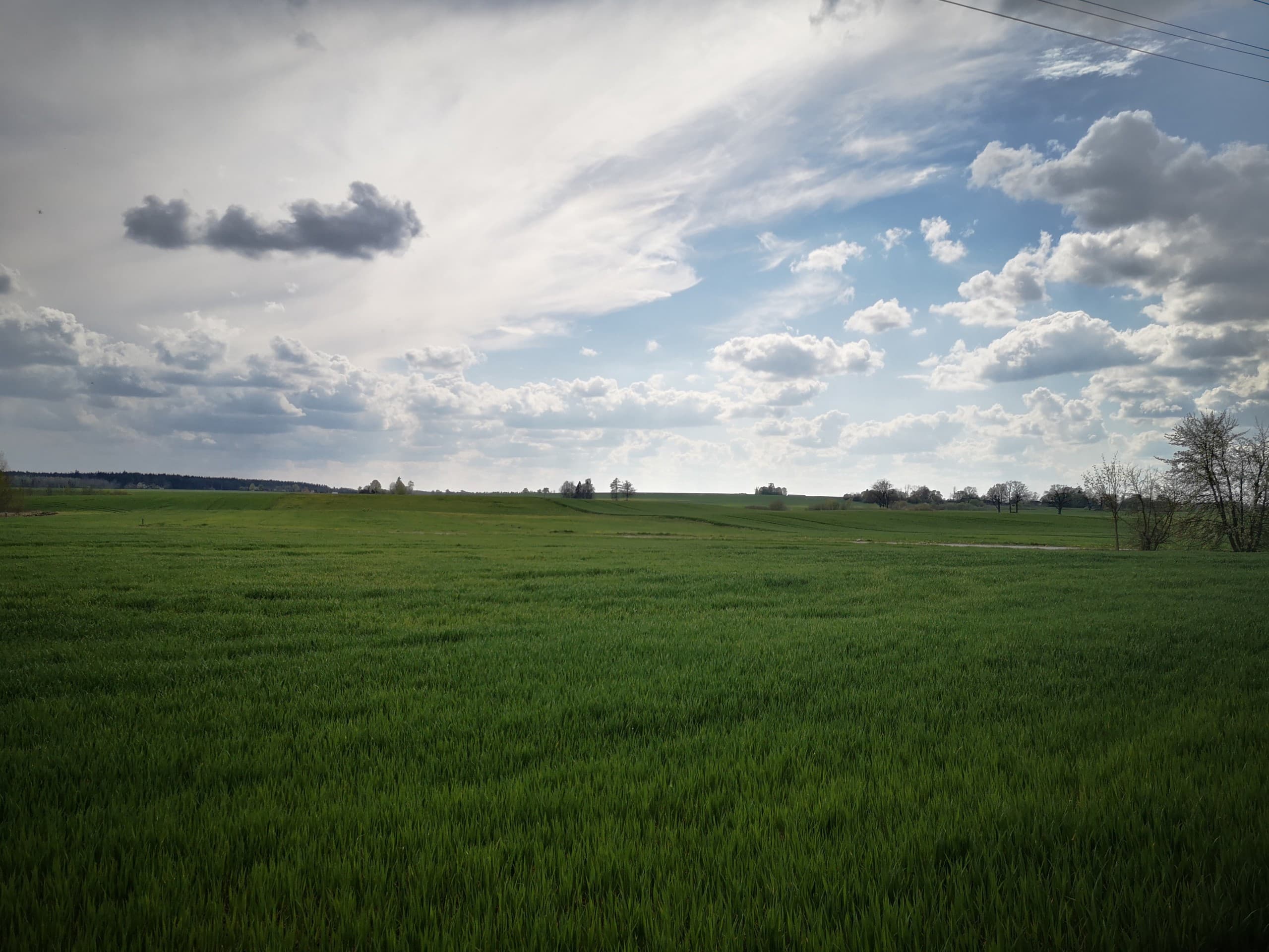 green meets blue