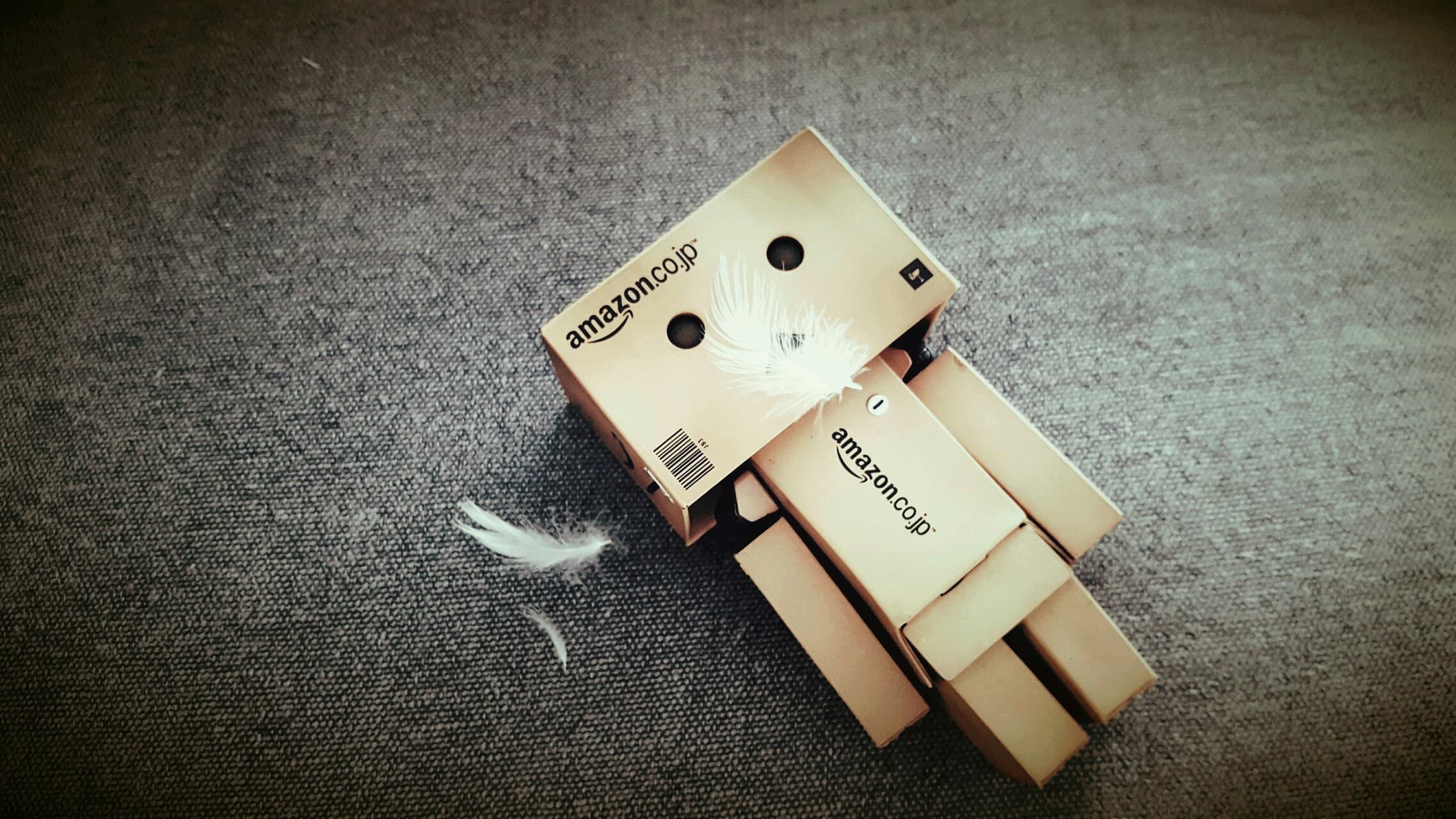 Danbo