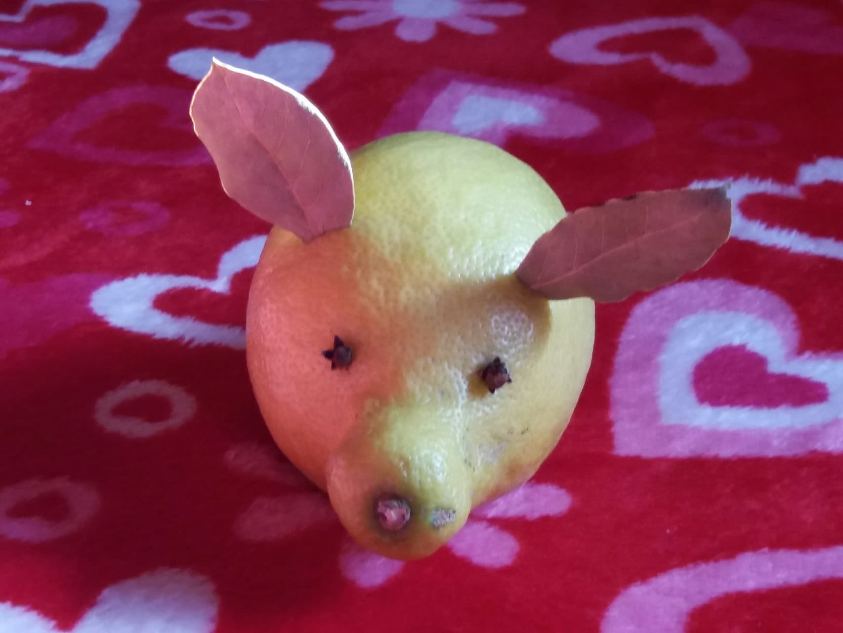 lemon animal