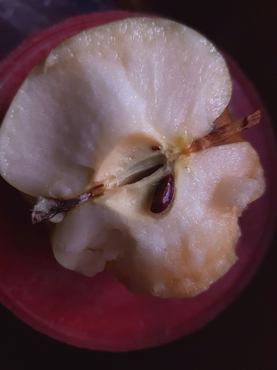 apple