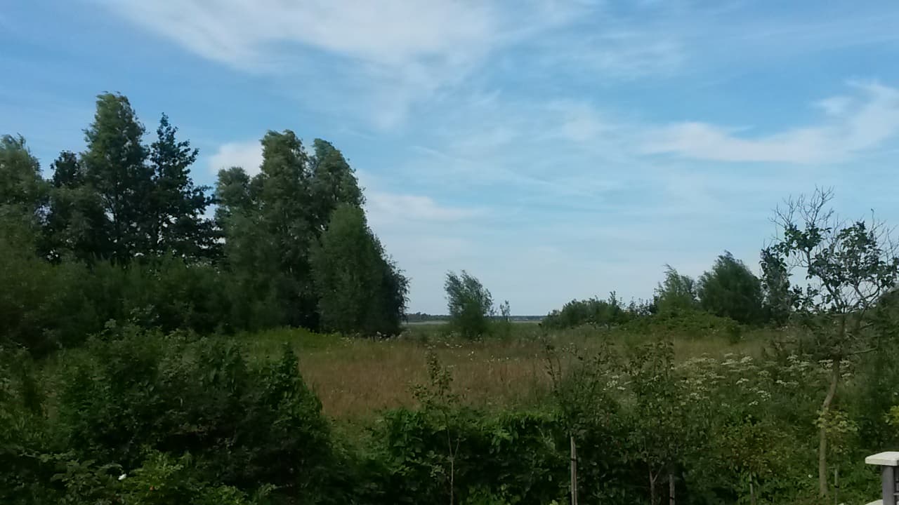 Sommer in den Dünen