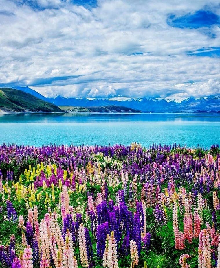 Landscape