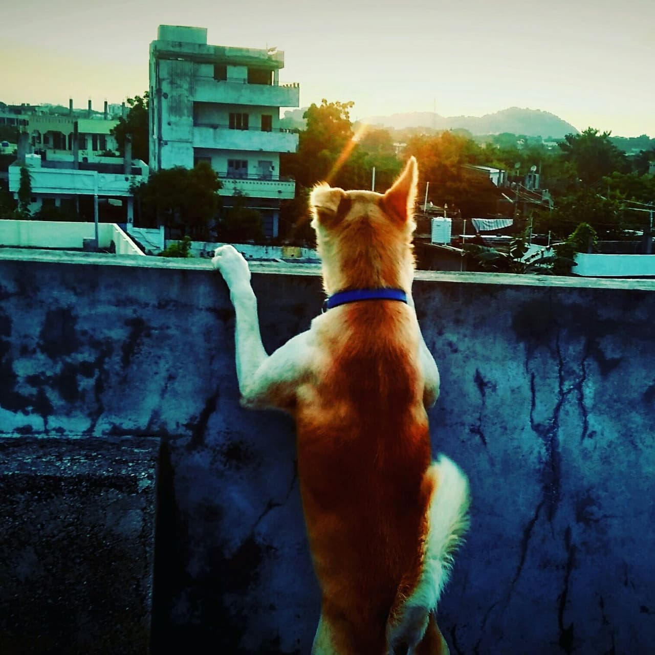 look beyond..