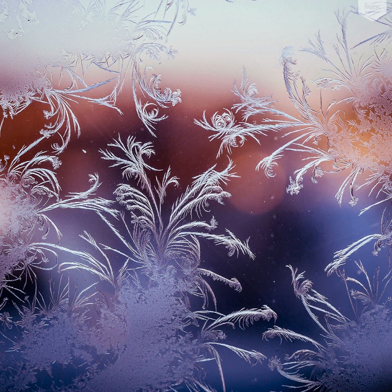 Patterns winter
