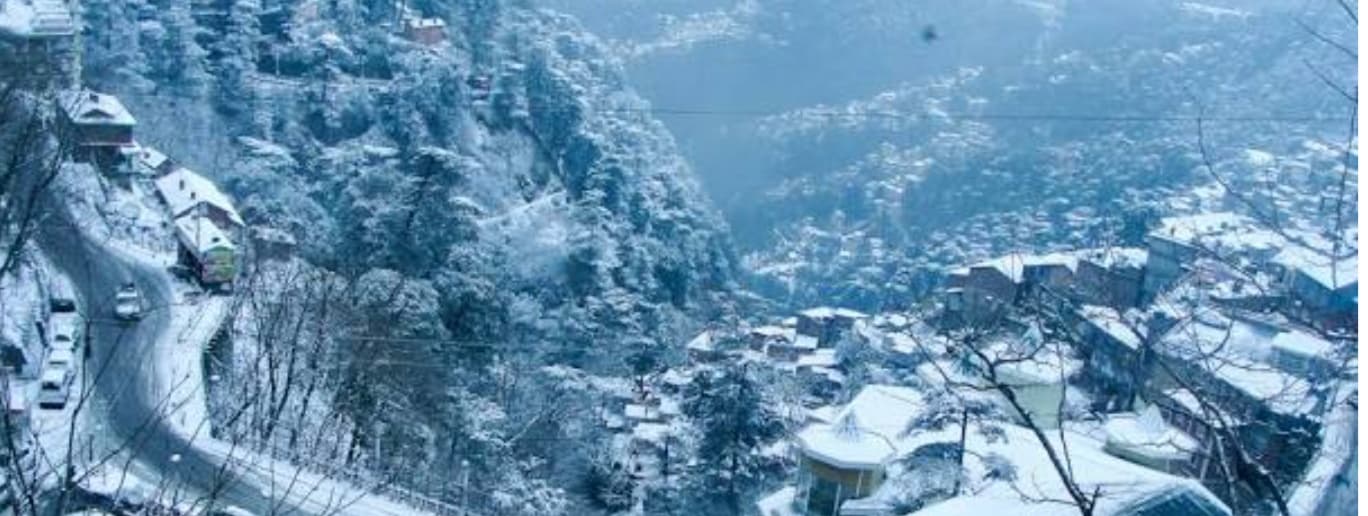 shimla, s nature