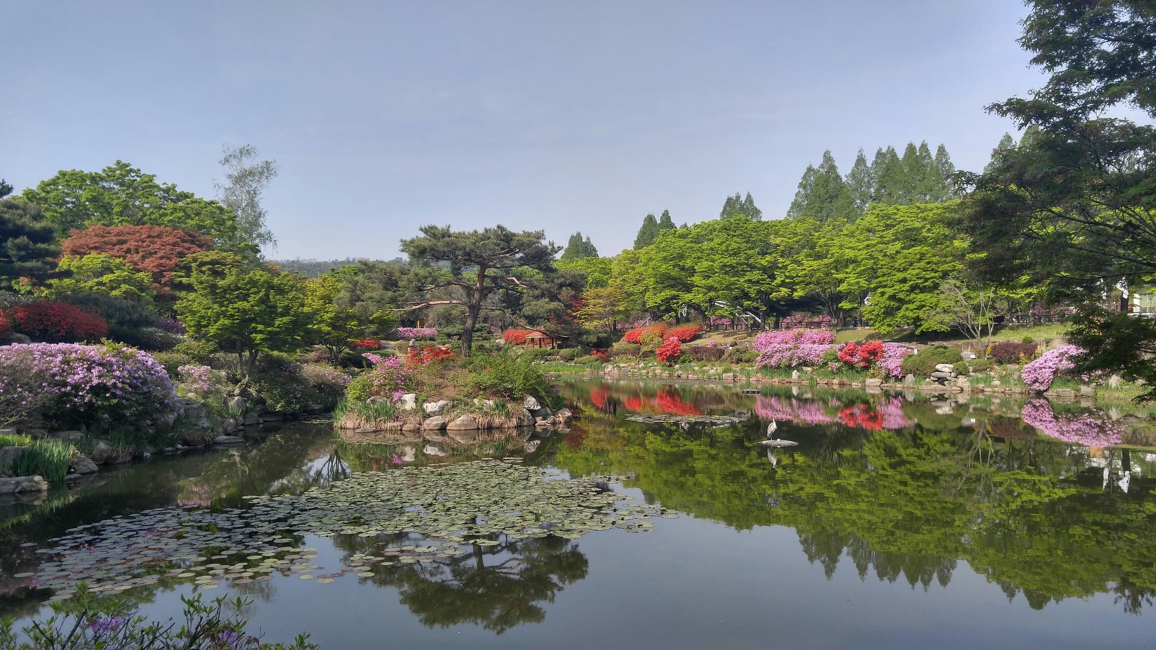연못
