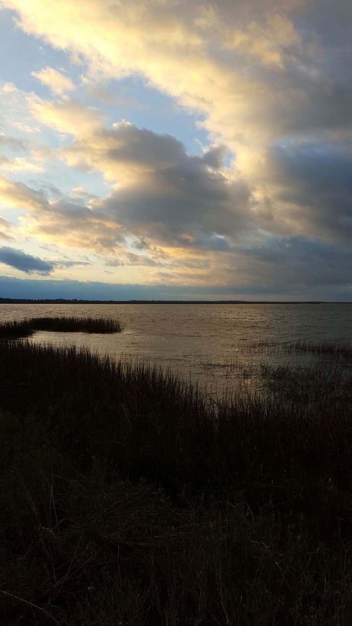 Marsh Sunset