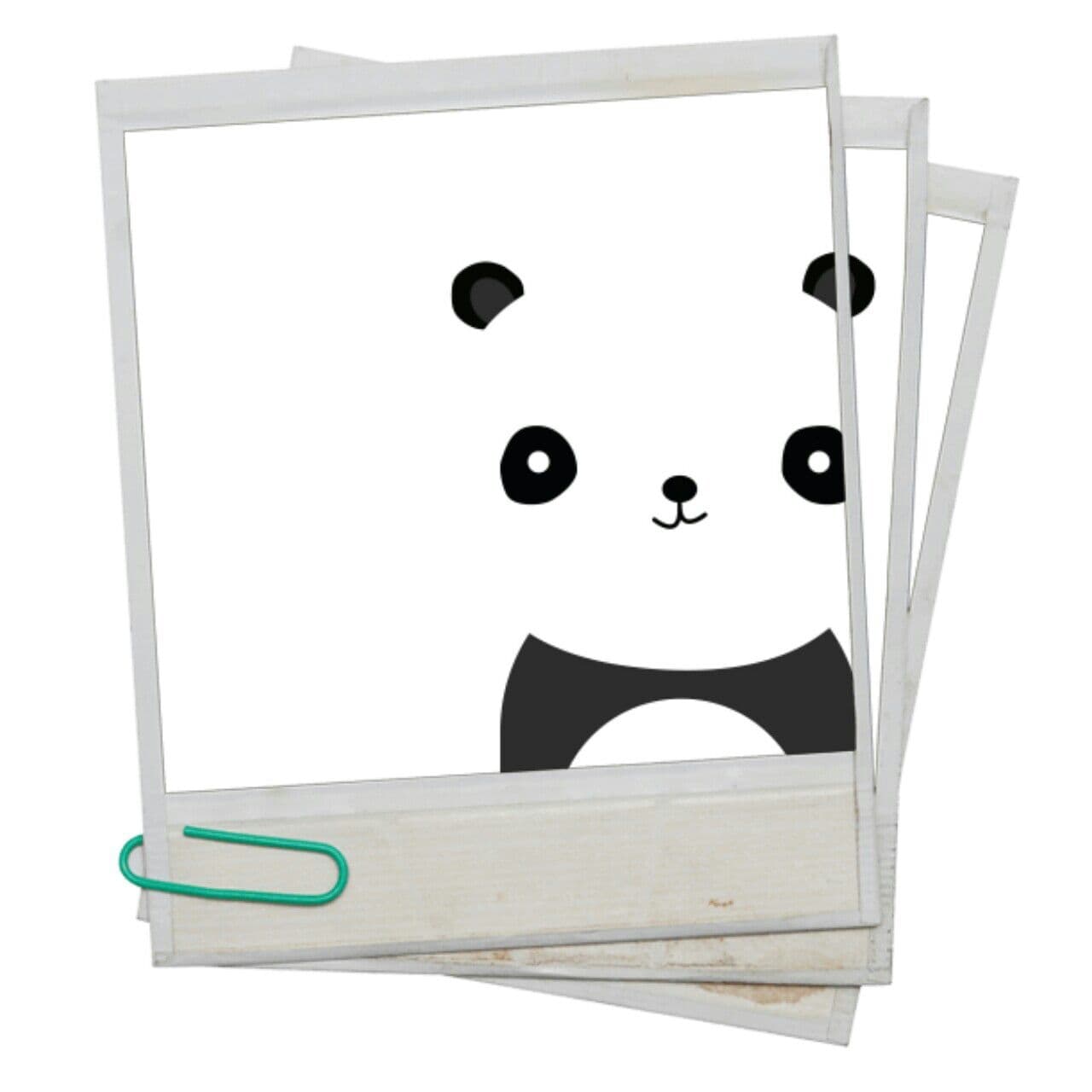 Panda Pictures