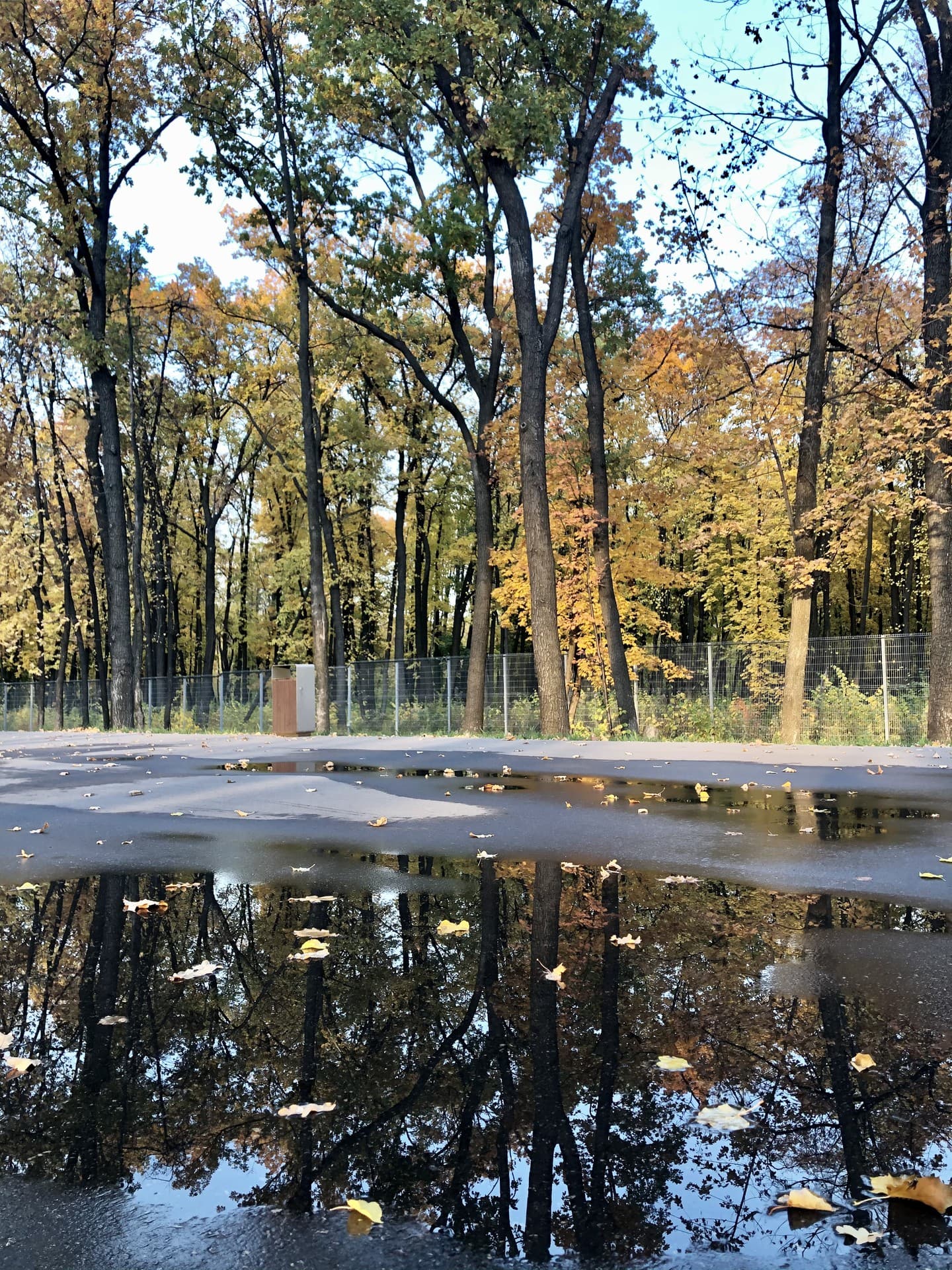 After the rain