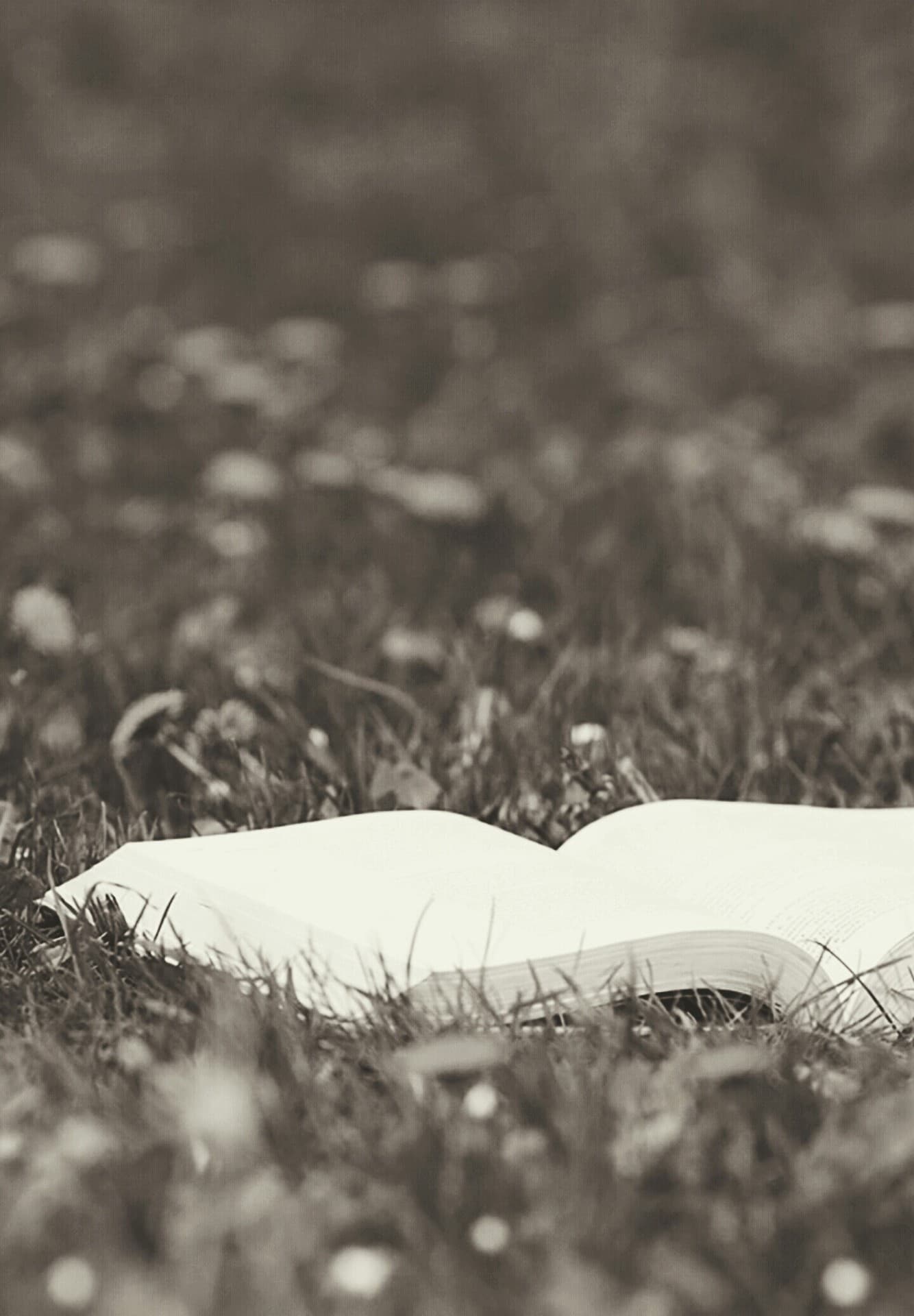 leggere la passione dell' anima