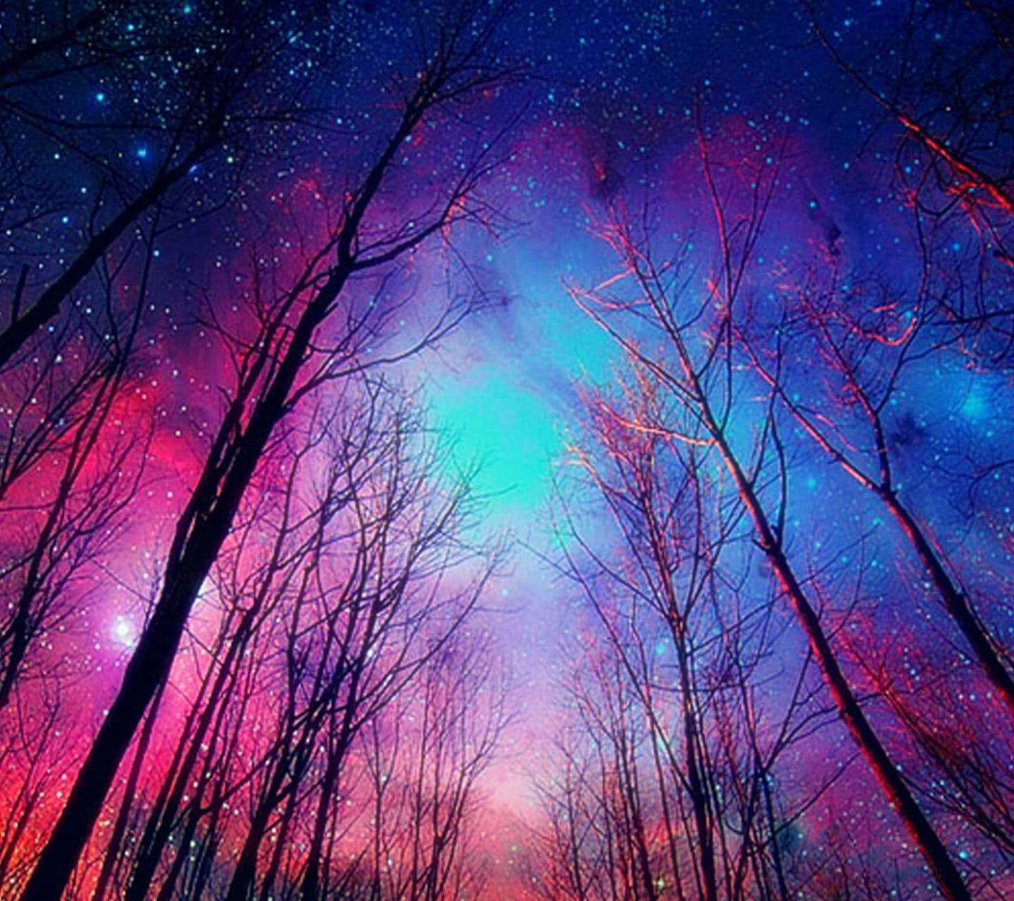 sky  and stars