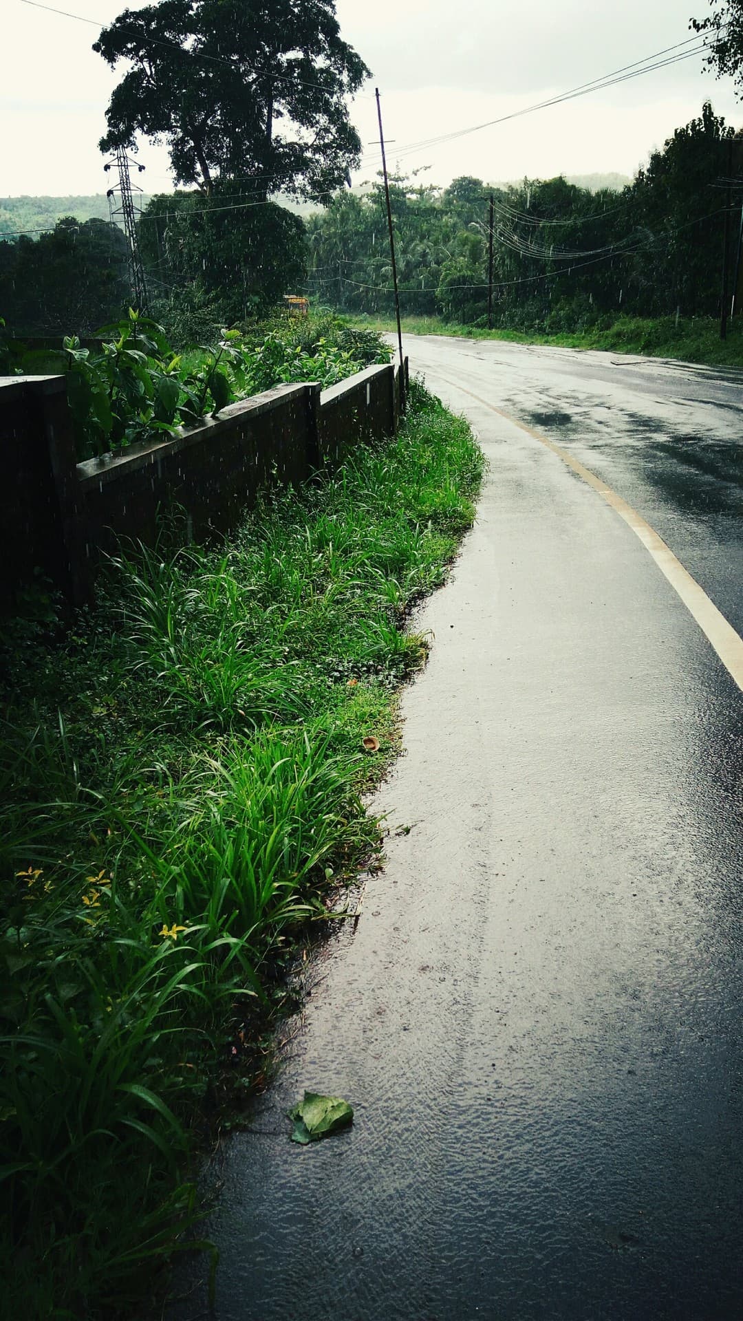 Monsoon