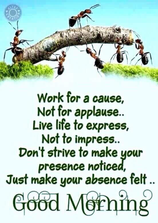 good morning