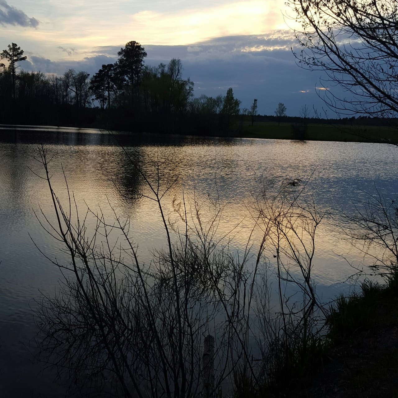 Peaceful Pond