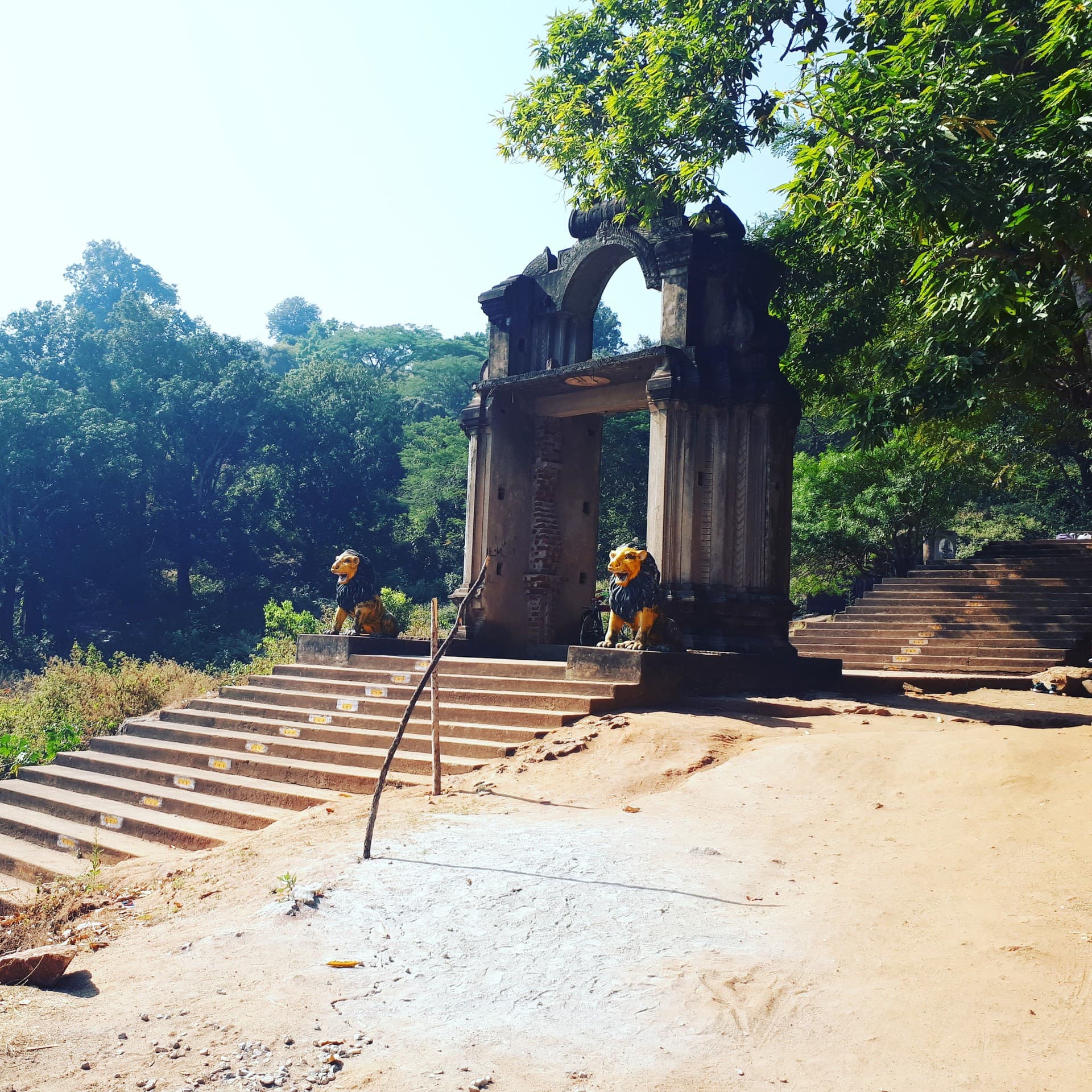 lions gate
