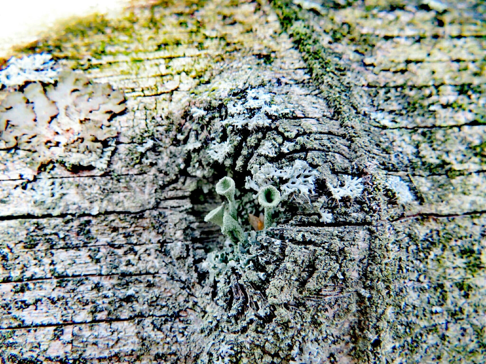 In