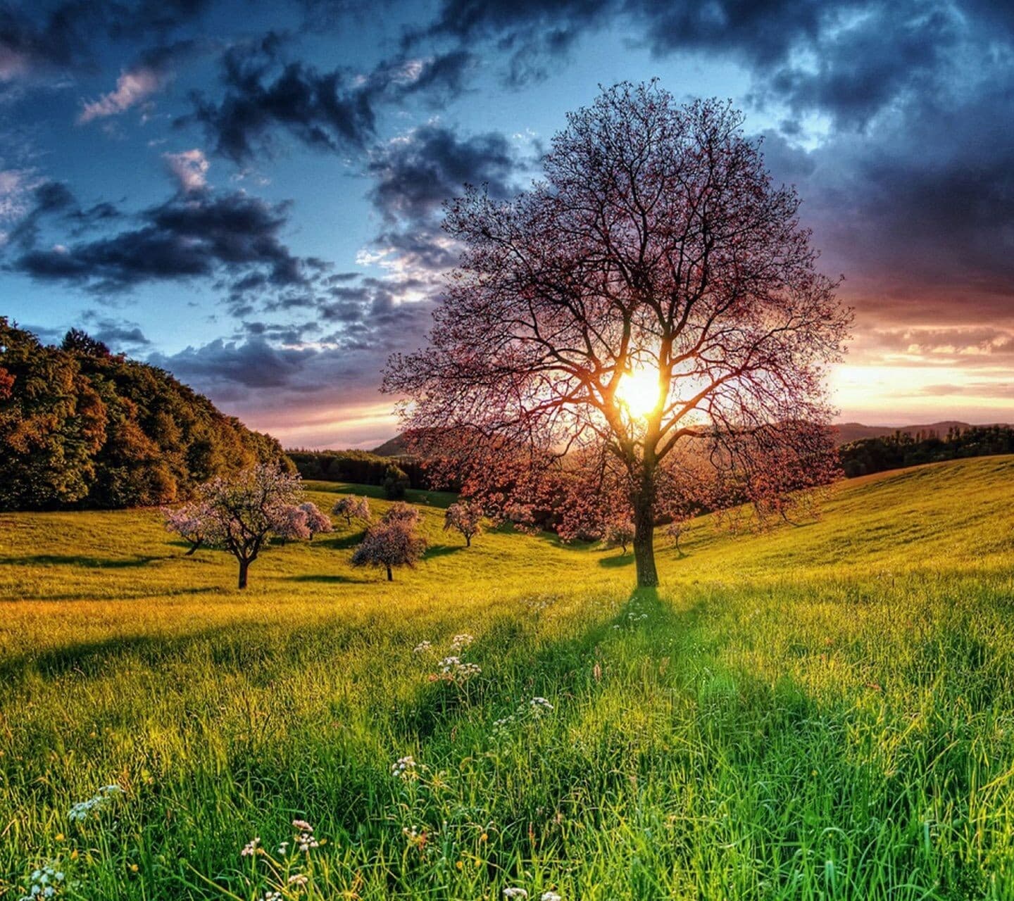 Sunrise