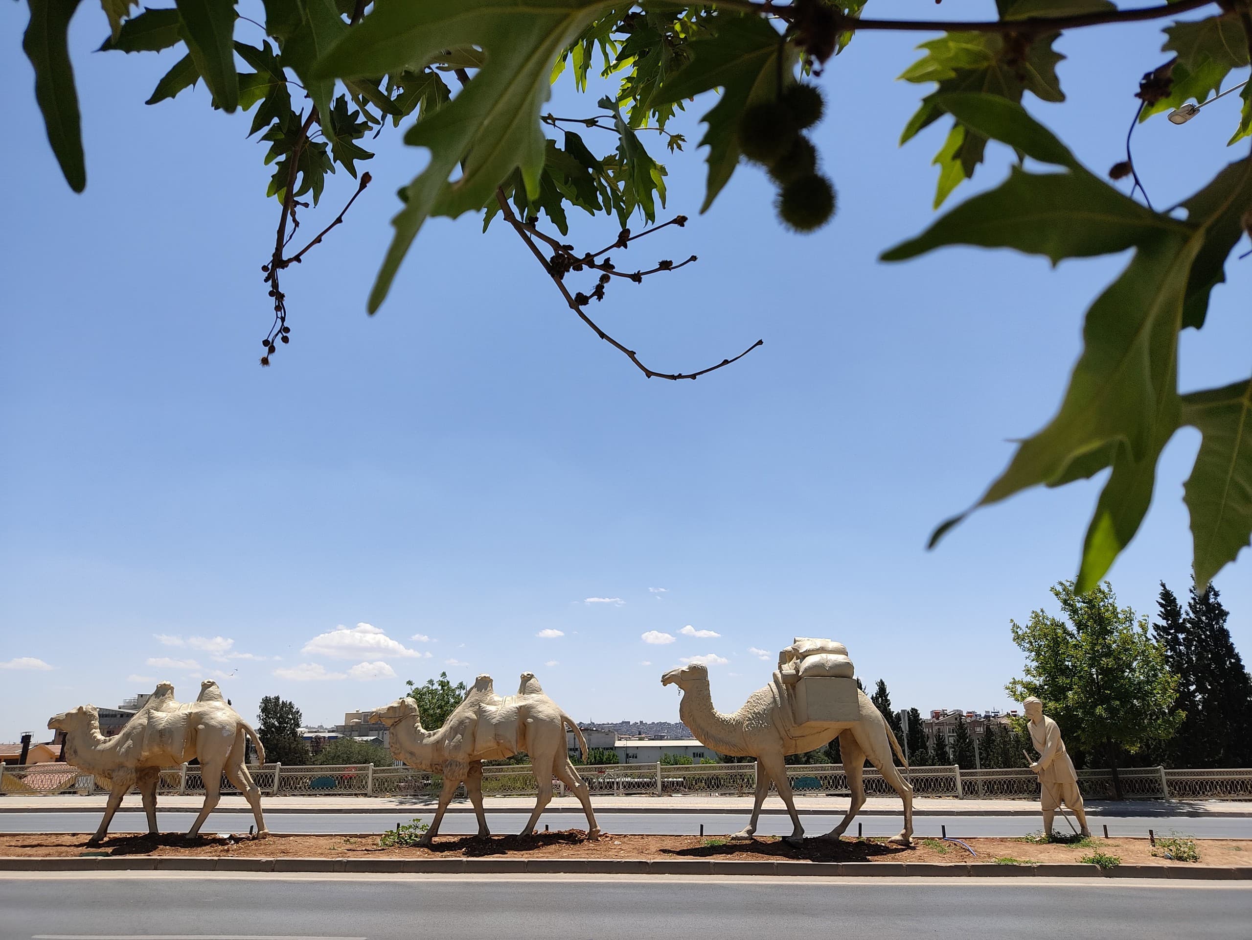 Camel Statues