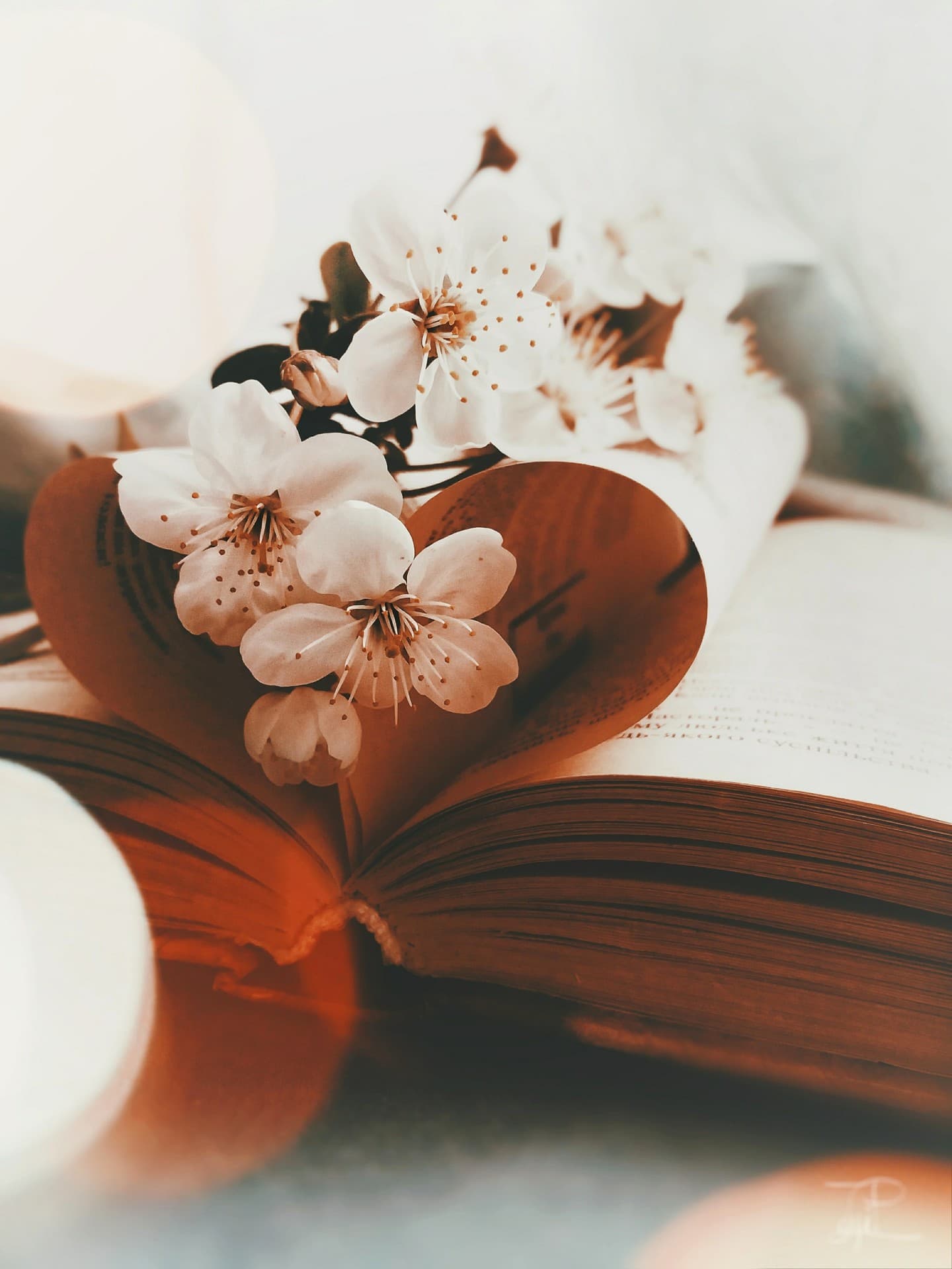 ♡