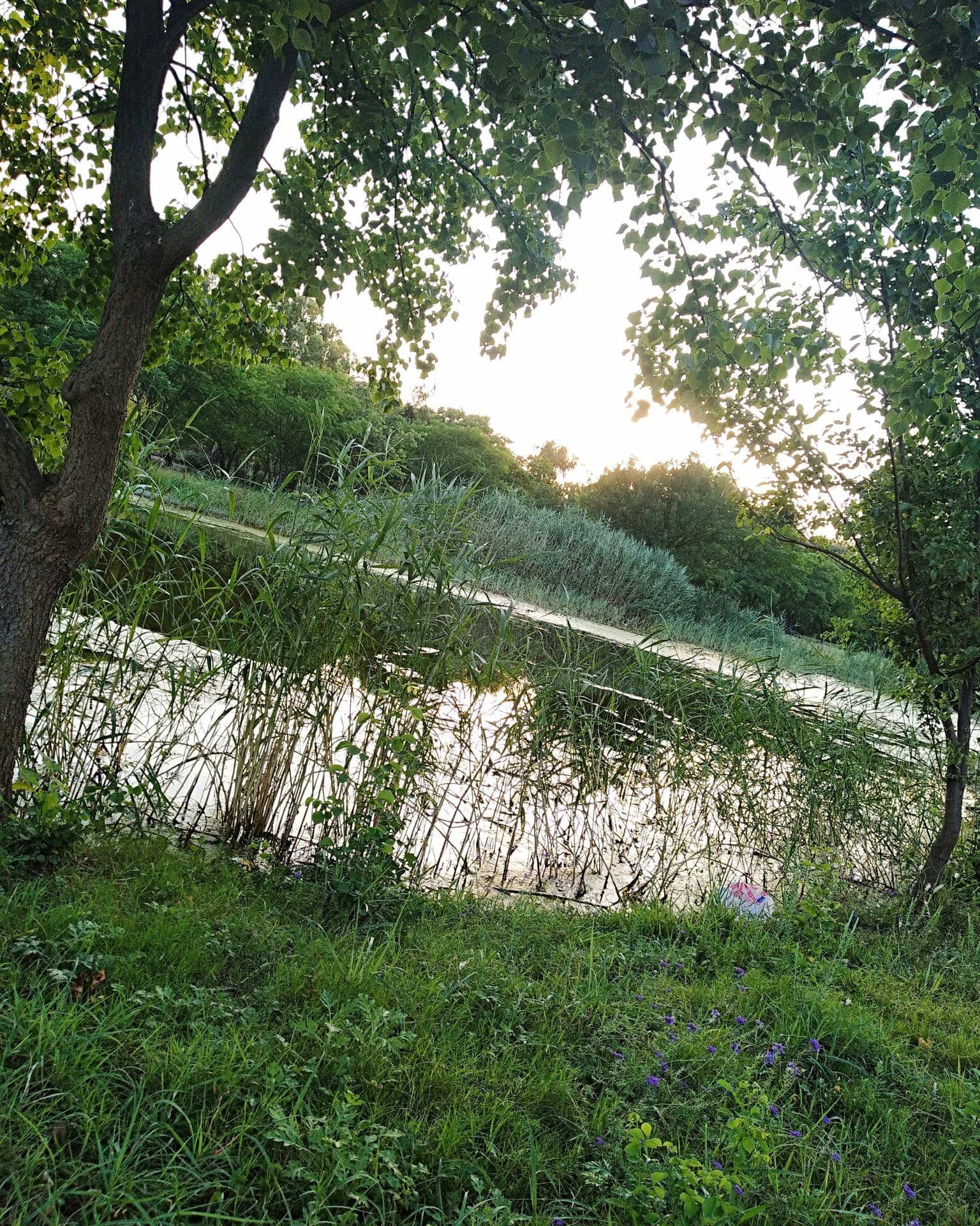 lake view