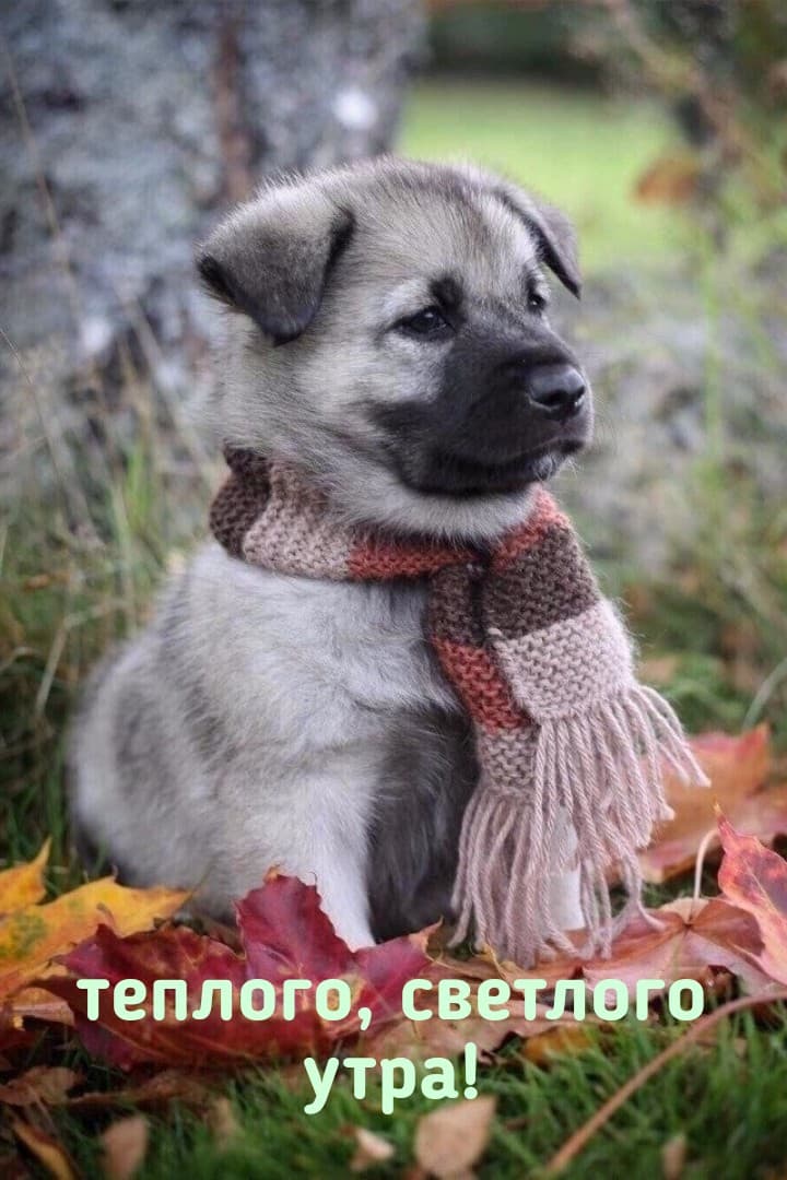 мимимим