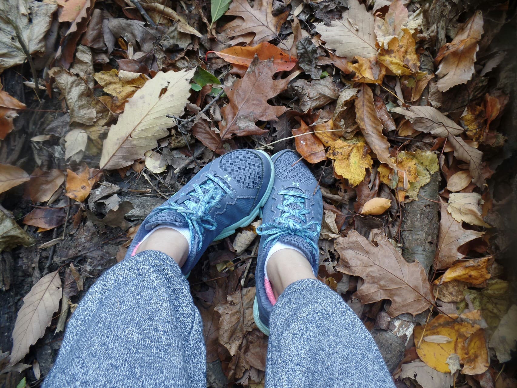 fall