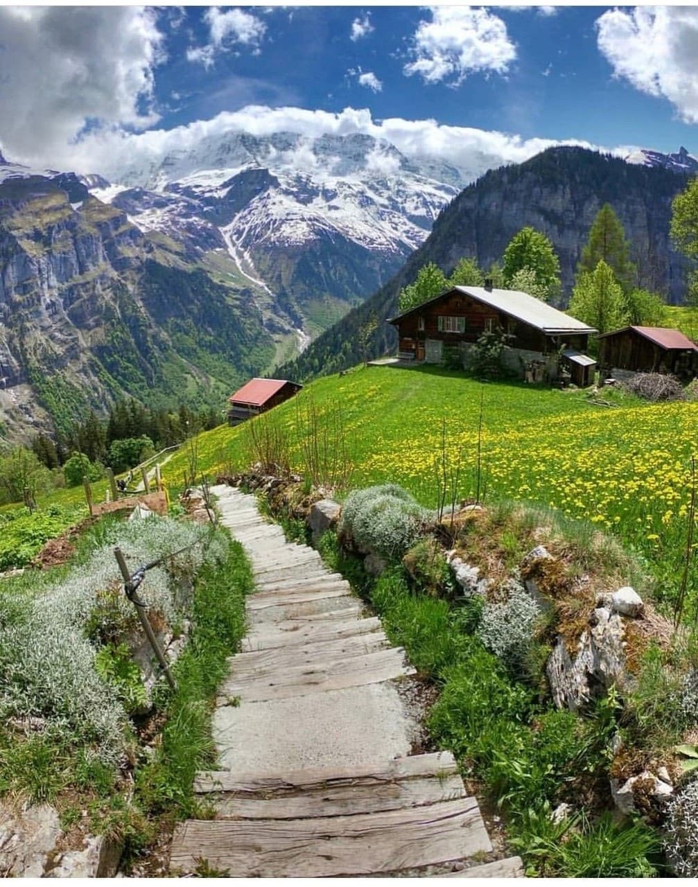 Nature