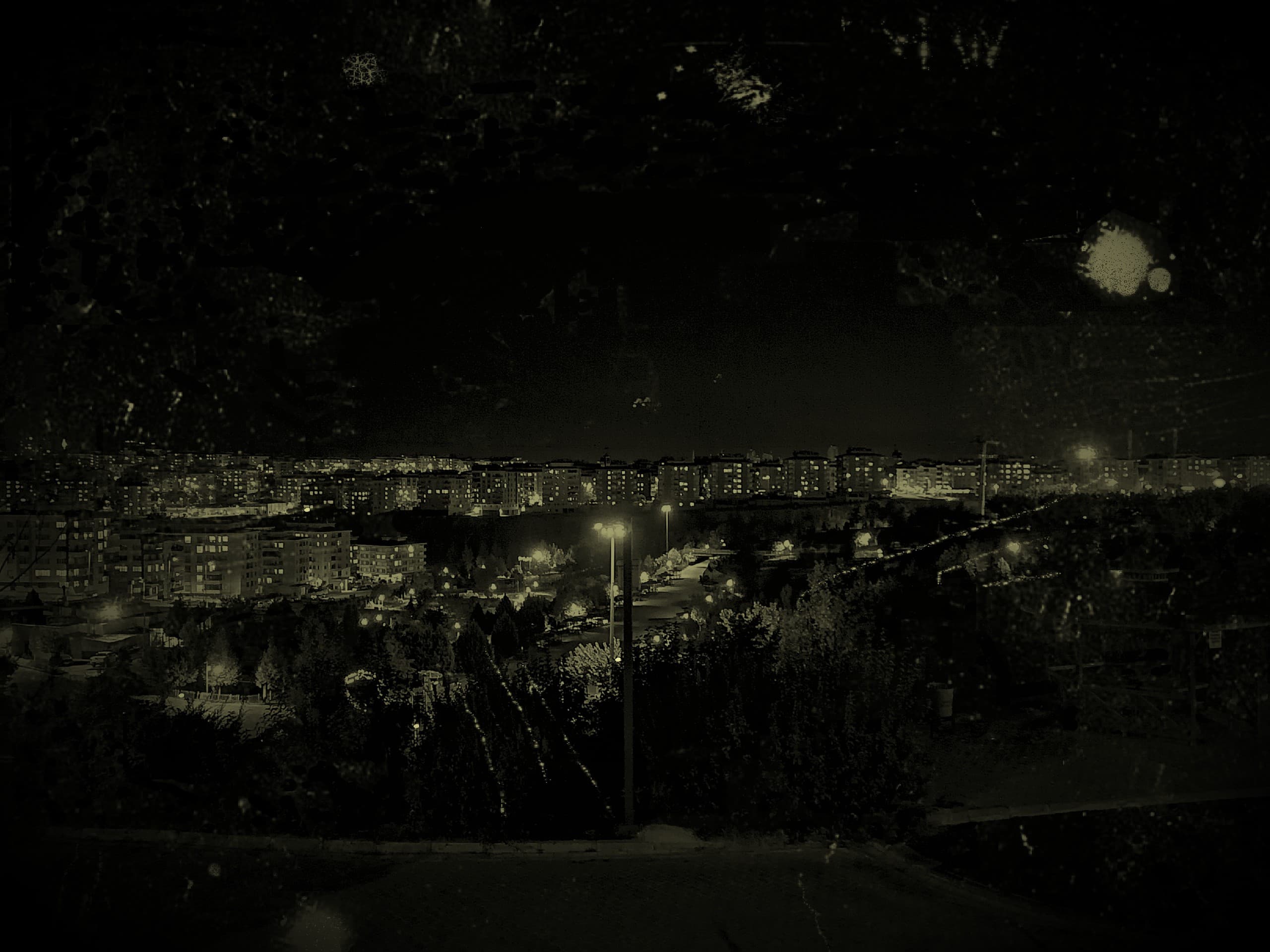 Night