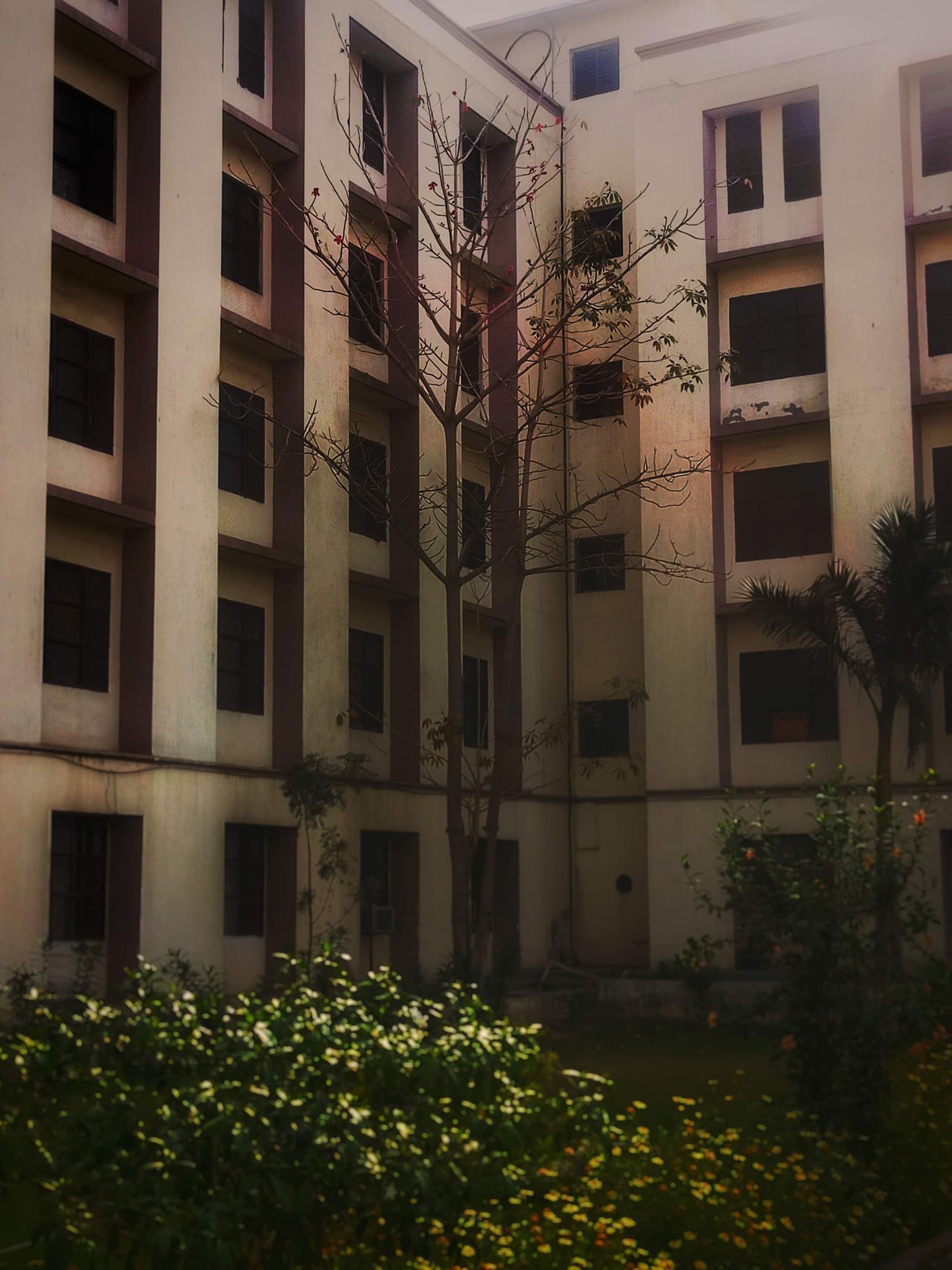 Alone