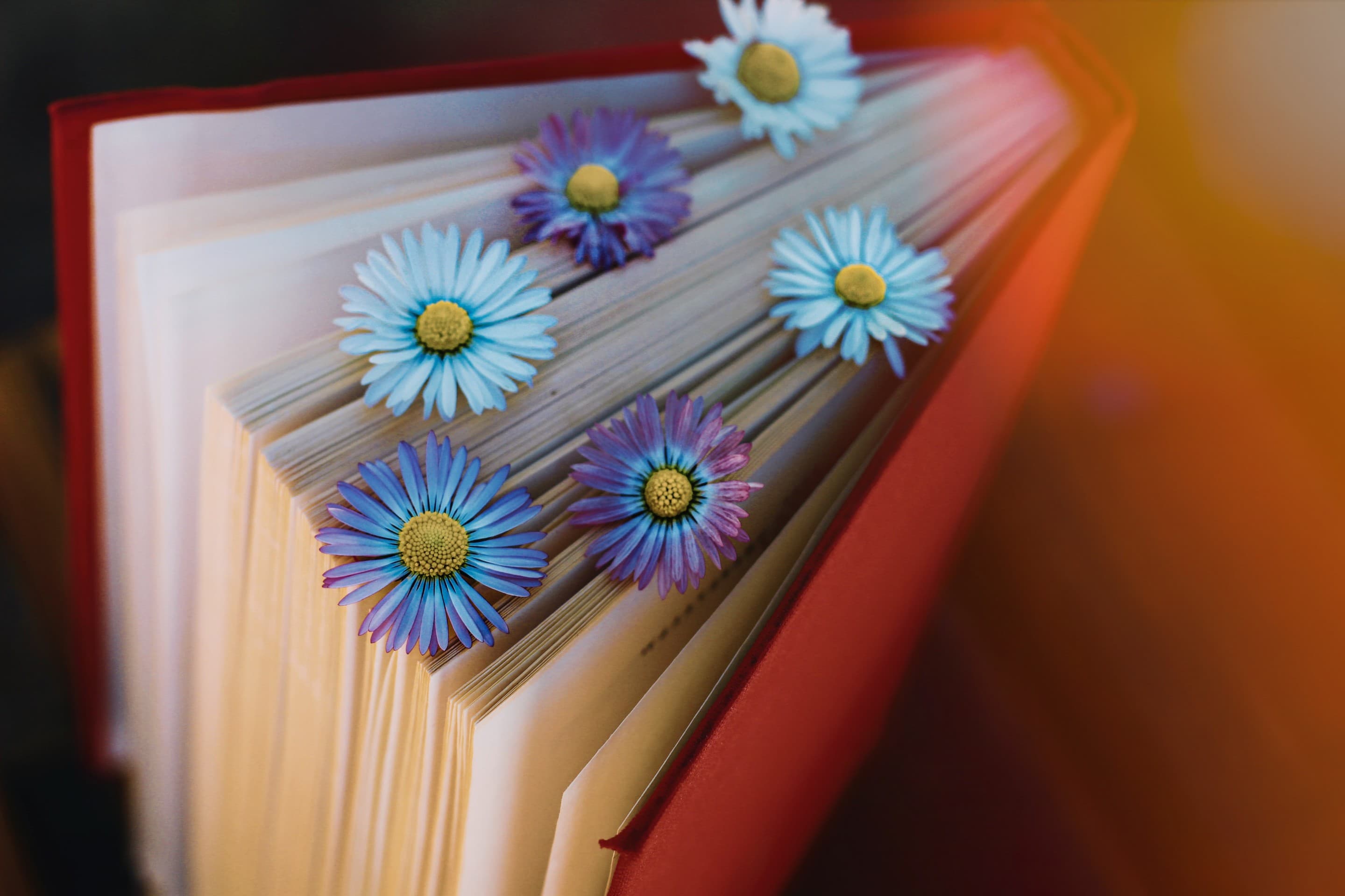 Spring brings us joy and flowers