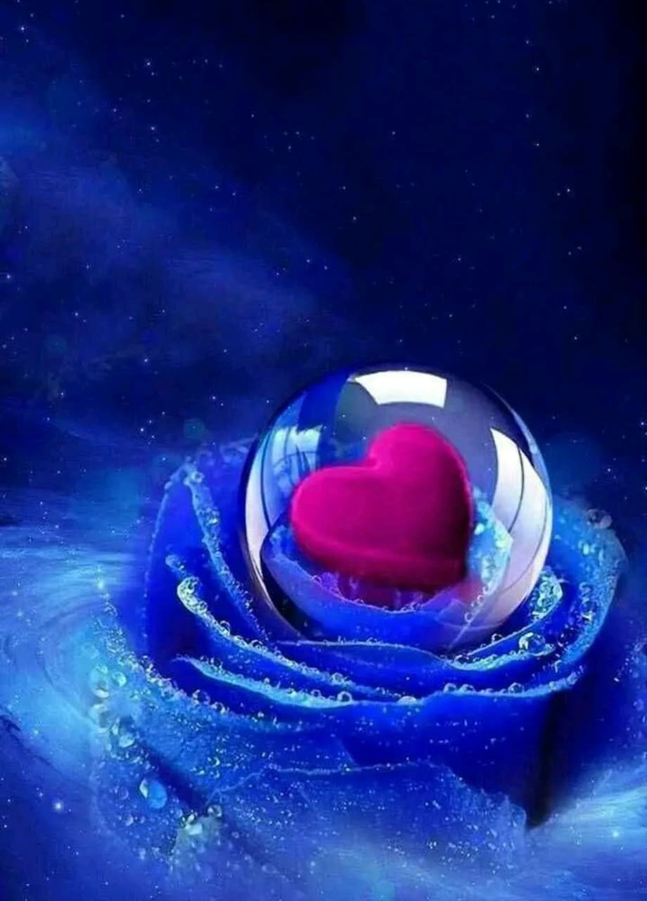 Heart