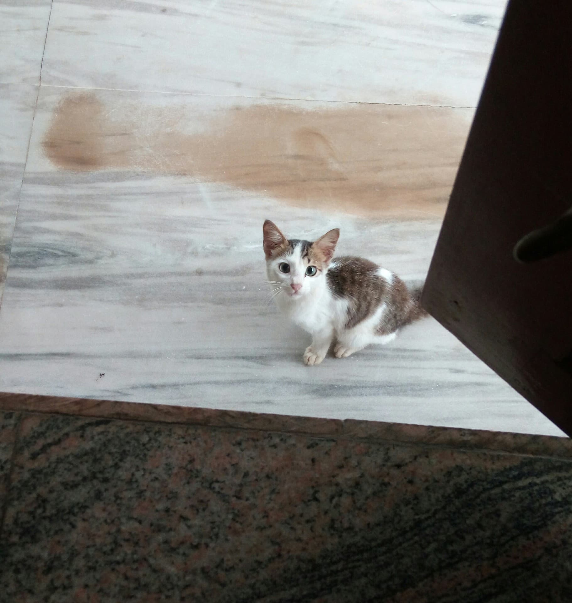 curious