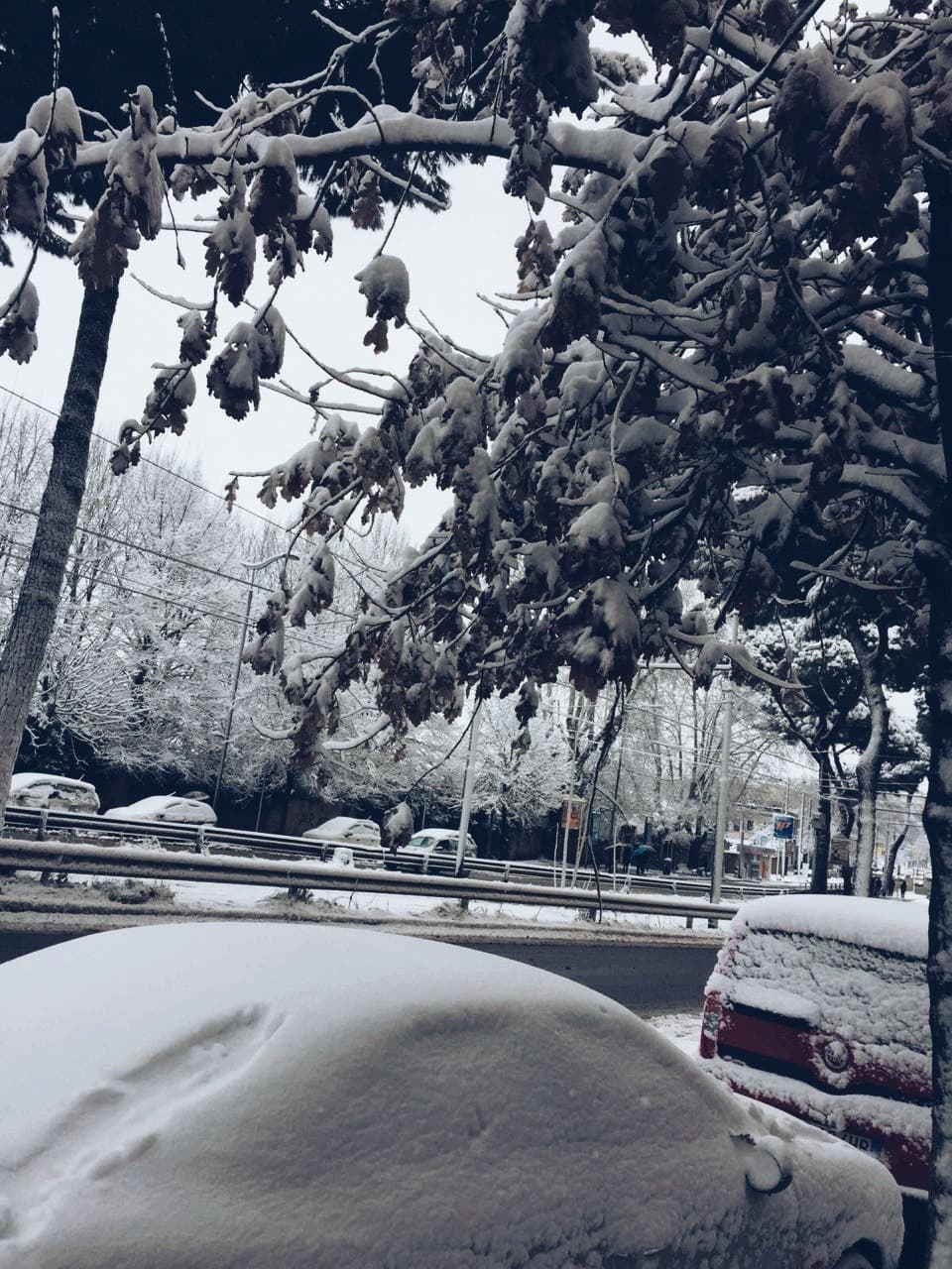 let it snow