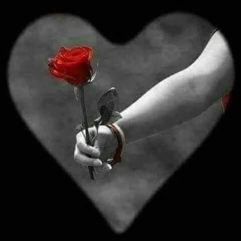 Amor.