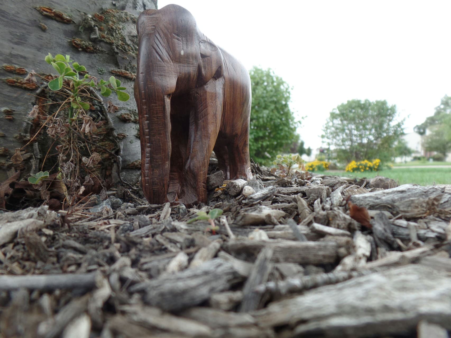 Wooden Elephant