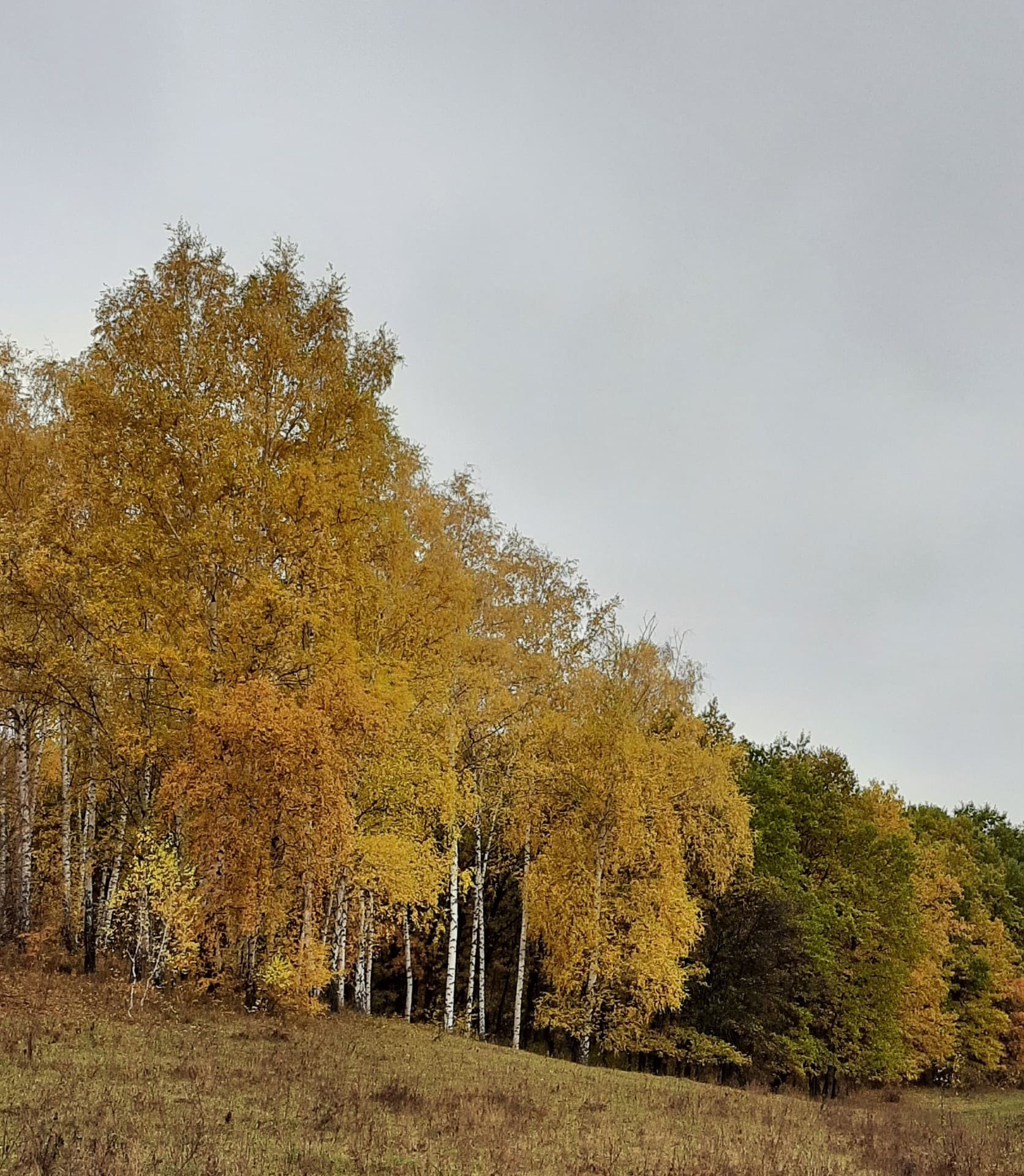 осень
