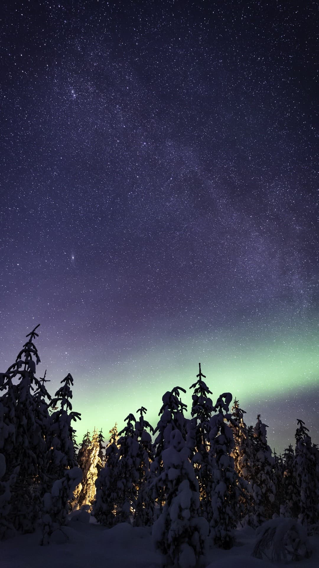 stars