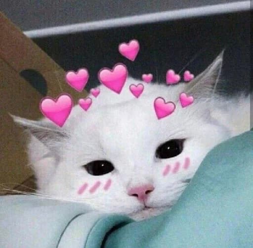 @Moonlight_AMG