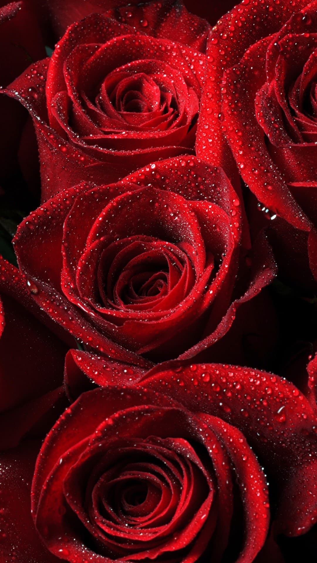 Red ?