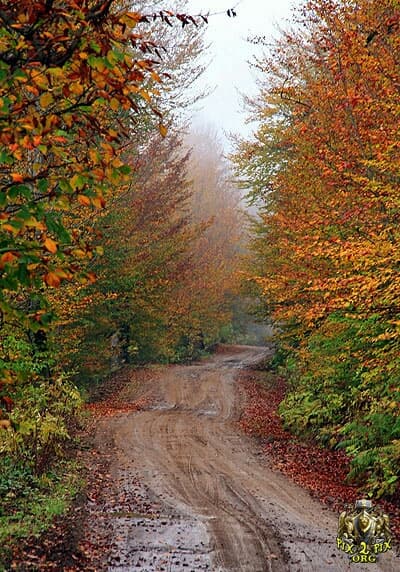 autumn
