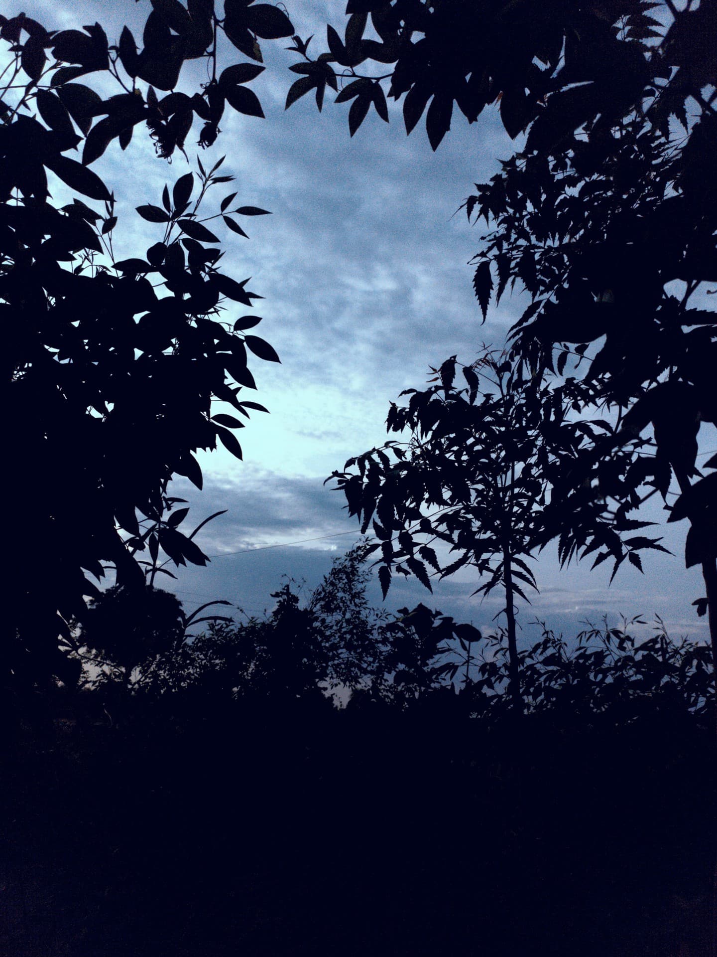 Silhouette