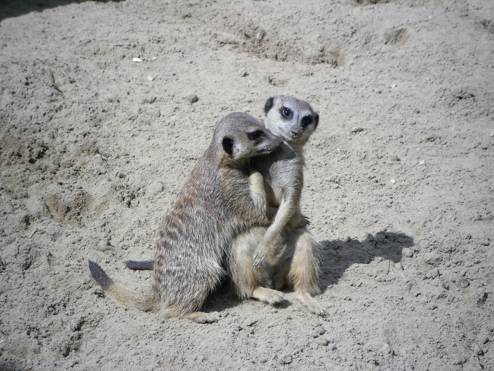 Together