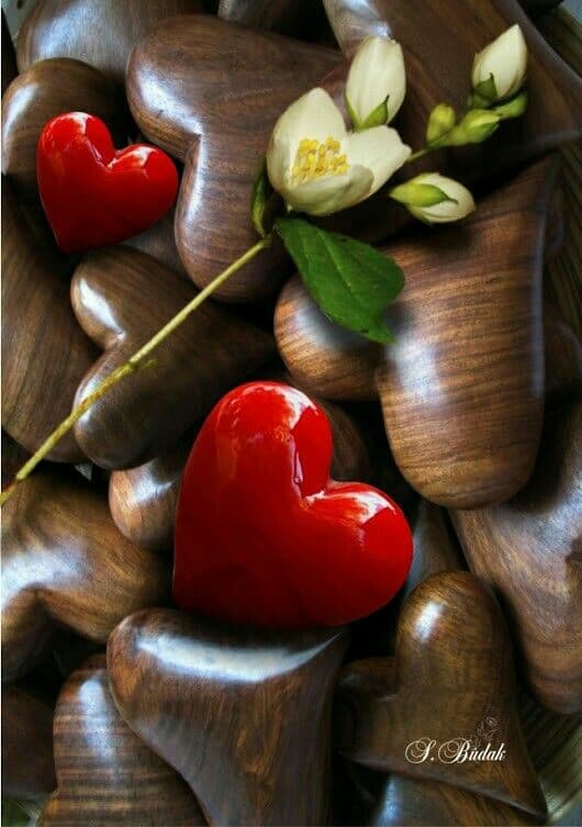 heart