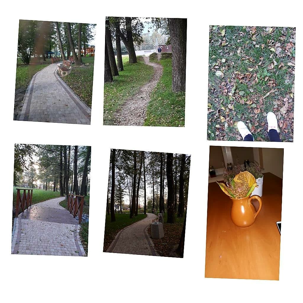 kolarz #jesień