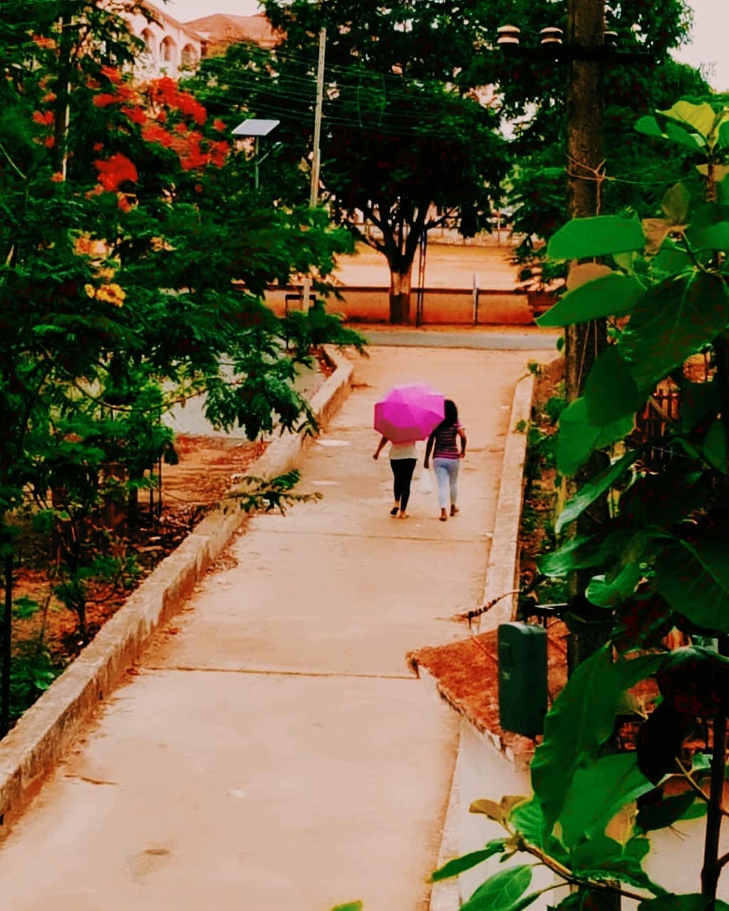 rainy days